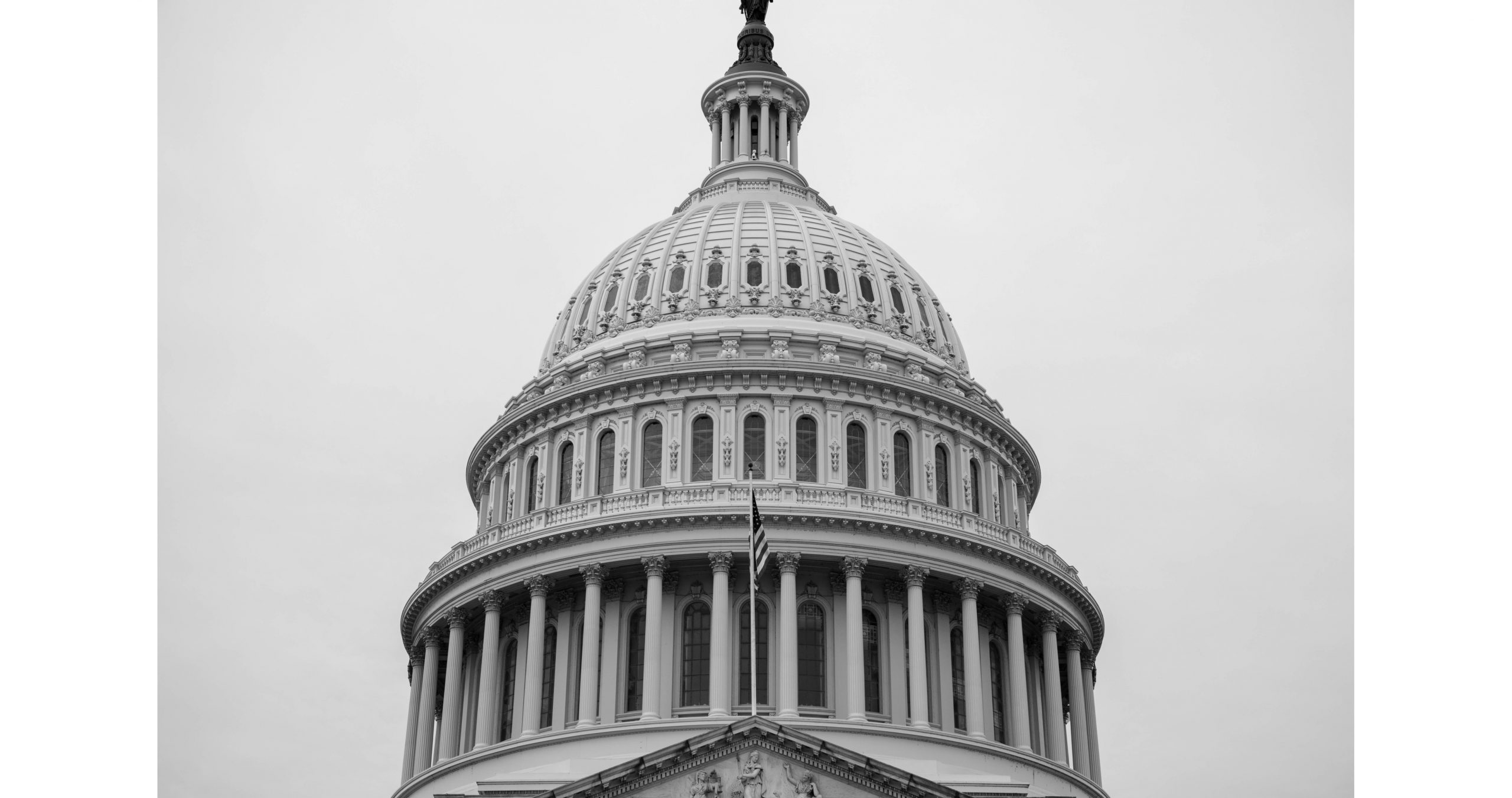 Government services_edited